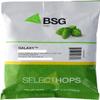 Galaxy (Australia) Hop Pellets 8 oz BSG Select Handcraft Hops view 1