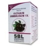 SBL Syzygium Jambolanum Trituration Tablet 1X