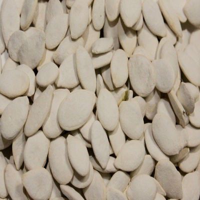 Bayside Candy Roasted Pumpkin Seeds In Shell Squash Seed (Salted, 2LB)
