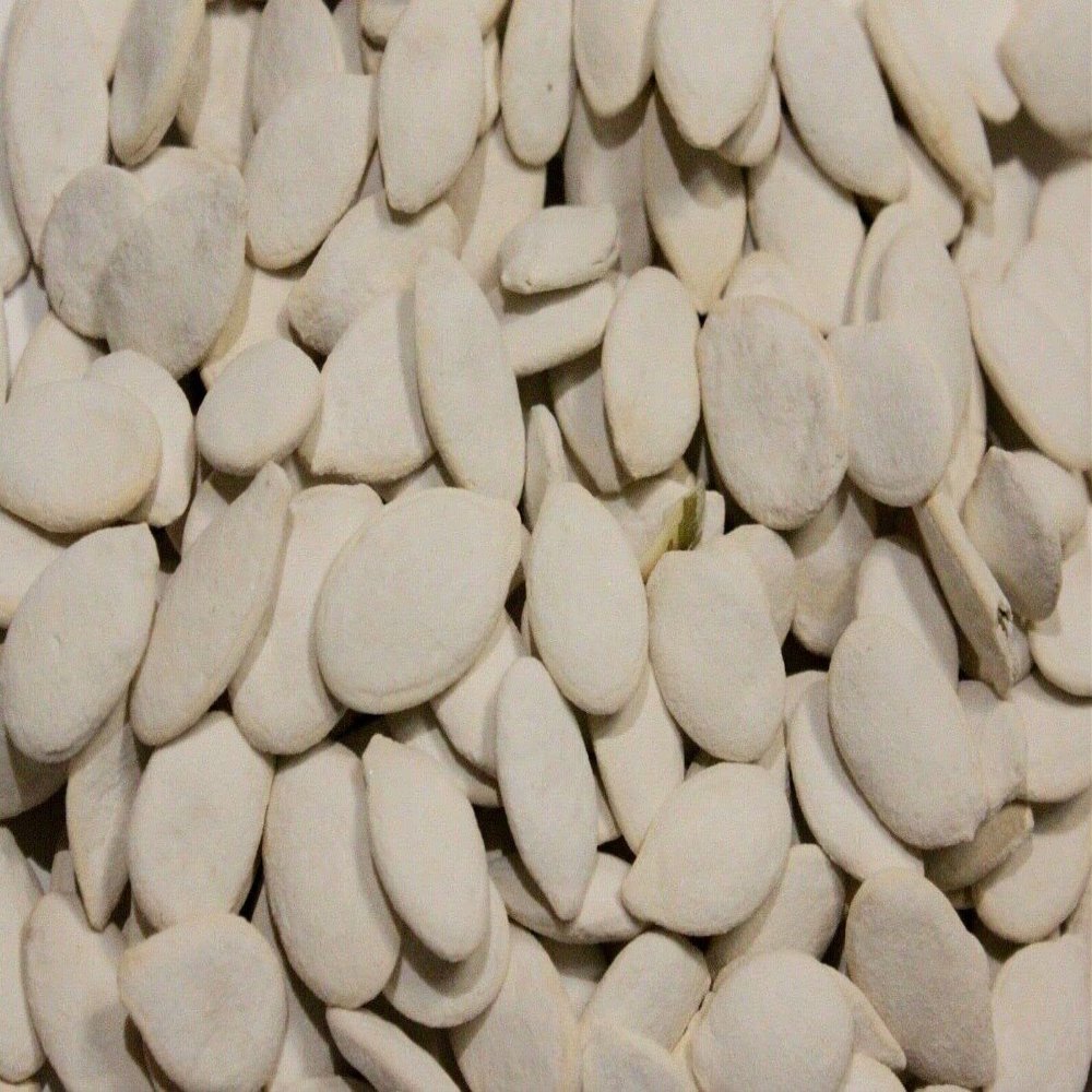 Bayside Candy Roasted Pumpkin Seeds In Shell Squash Seed (Salted, 2LB)