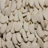 Bayside Candy Roasted Pumpkin Seeds In Shell Squash Seed (Salted, 2LB) view 1