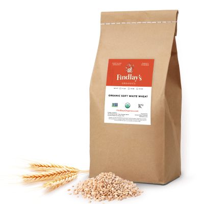 Soft White Wheat Berries Organically Grown in Michigan, Farmer Direct, USDA Organic Certified, Non-GMO, 10 Lbs Total // Findlay's Organics