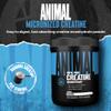 Animal Creatine Monohydrate Powder  Micronized Creatine for Women and Men, Supports Muscle Growth, Strength, Endurance, Recovery and ATP Production, Gym & Workout Supplements - Unflavored, 300g view 2