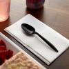 1000 Plastic Spoons Black Medium Weight | Plastic Cutlery Disposable Teaspoons Utensils | Bulk Durable Plasticware Cutlery | Great For Celebrations, Parties, Travels, Events, And Everyday Use view 4