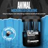 Animal Creatine Monohydrate Powder - Micronized Creatine for Women and Men, Supports Muscle Growth, Strength, Endurance, Recovery and ATP Production, Gym & Workout Supplements - Unflavored, 500g view 2