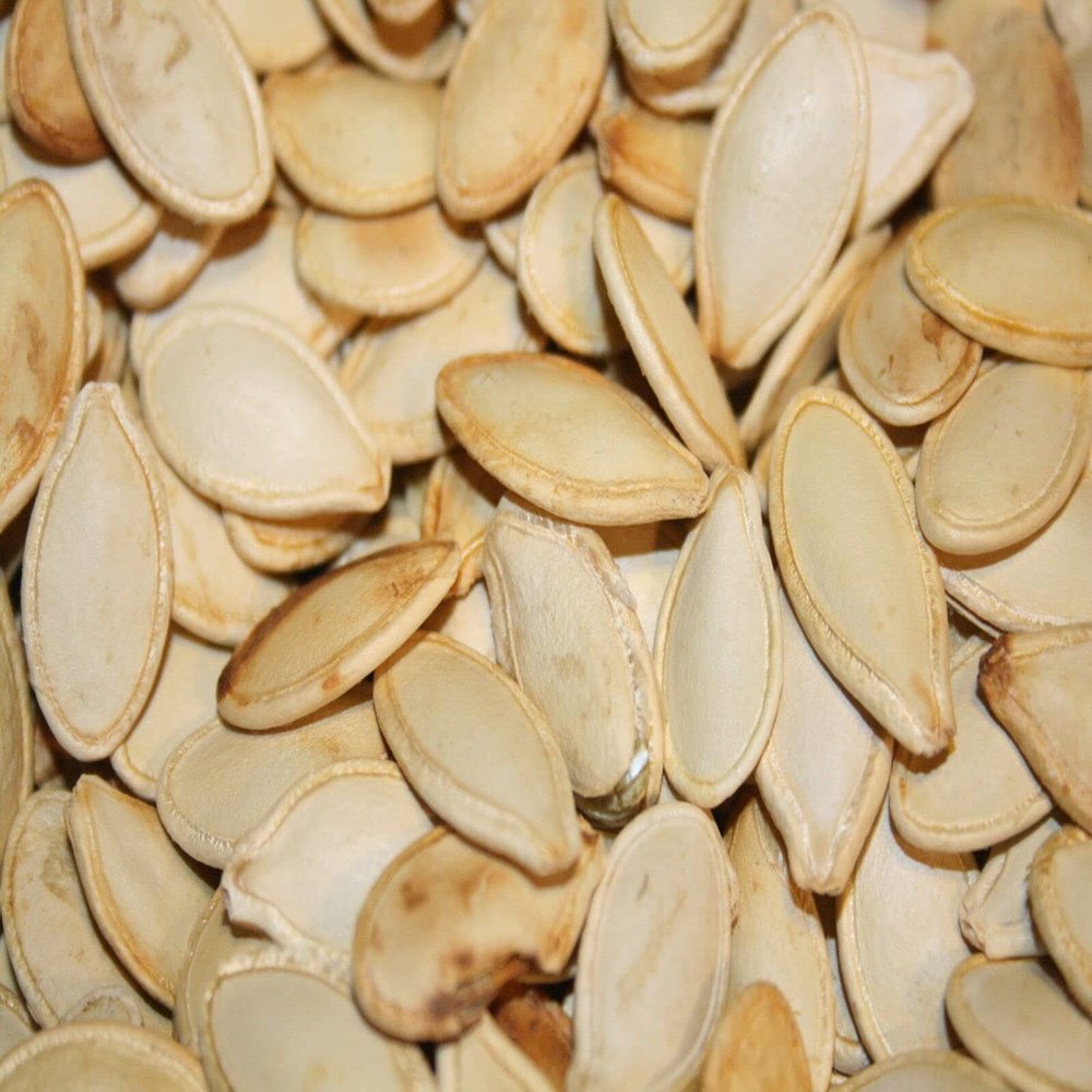 Bayside Candy Roasted Pumpkin Seeds In Shell Squash Seed (Unsalted, 5LB)
