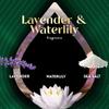Air Wick Plug in Scented Oil Refill, 5ct, Lavender & Waterlily, Air Freshener, Essential Oils view 4