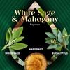 Air Wick Plug in Scented Oil Refill, 5ct, White Sage & Mahogany, Air Freshener, Essential Oils view 4