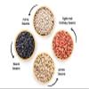 Food to Live Dry Beans Bundle, 4 Pack  Black, Pinto, Navy & Light Red Kidney Beans, 5 lb Each, Sproutable, Bulk, Made in USA view 3