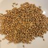 North Georgia Still Company's Fermentation Kit for Moonshine, Corn & Malted Wheat Whisky, DIY 10 Gallon Mash Kit view 3