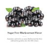 DOOLITTLE Dr Sugar Free Soft Fruit Pastilles for Voice and Throat, Blackcurrant Flavor, 2.12 Ounce Tin, Approximately 25 Count Package, 4 Pack view 3