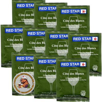 Red Star Cotes Des Blancs Wine Yeast (10 Pack) - Great for Making Wine Cider Mead Kombucha at Home - 5 g Sachets - Saccharomyces cerevisiae - Sold by CAPYBARA Distributors Inc.