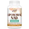 Caenciennes Liposomal NAD+ 500 MG Supplement, True NAD Plus Supplement, Superior Absorption, Boost NAD+ More Efficient Than Nicotinamide Riboside for Cellular Energy, Healthy Aging, 60 Serving view 1