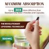 Caenciennes Liposomal NAD+ 500 MG Supplement, True NAD Plus Supplement, Superior Absorption, Boost NAD+ More Efficient Than Nicotinamide Riboside for Cellular Energy, Healthy Aging, 60 Serving view 4