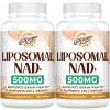 Liposomal NAD+ 500 MG Supplement, True NAD Plus Supplement, Superior Absorption, Boost NAD+ More Efficient Than Nicotinamide Riboside for Cellular Energy, Healthy Aging, 120 Serving view 1