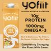 Yofiit Vanilla Cinnamon Plant Based Milk with Pea Protein and Flax - More Protein than Almond Milk - Non Dairy Coffee Creamer, Vegan & Shelf Stable | 10g Protein - 6 Pack view 4