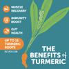 ZYN Turmeric Wellness Drink (24 Pack), Lemon Ginger Flavored Turmeric Curcumin with Black Pepper, No Added Sugar, Low Carb & Low Calorie, Clean Alternative view 3