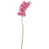SilksAreForever 31" Silk Phalaenopsis Orchid Flower Stem -Fuchsia/Beauty (Pack of 12) view 1