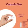BESTVITE Acetyl L-Carnitine 500mg (240 Vegetarian Capsules) - No Stearates - Vegan - Non GMO - Gluten Free view 4