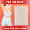 30 Count Capsaicin Patches,4.72"x7.08" Hot Capsicum Patch view 2