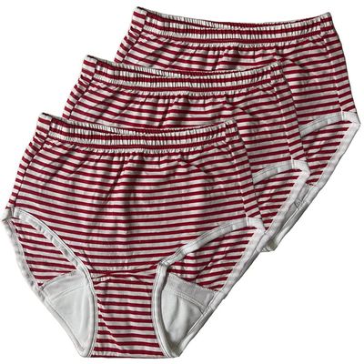 3-Pack Womens Incontinence Underwear Regular Absorbency Reusable Washable Urinary Incontinence Briefs (Red, XX-Large)