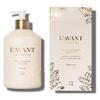 LAVANT Collective | Plant Based Dish Soap Liquid | Natural Cleaning Supplies & High Performing Dish Detergent | Formula for Sensitive Skin, Grease Removal, & Everyday Cleaning | Winter Fir Scent view 1