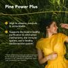 NORTH AMERICAN HERB & SPICE Pine Power Plus - 8 fl oz - Immune & Cardiovascular Support - 23 Servings view 2