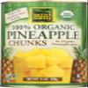 Native Forest Organic Pineapple Chunks, Vegan Friendly, Kosher, Gluten Free & Non-GMO, 14 Ounce (Pack of 6) view 1