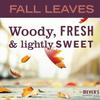 MRS. MEYER'S CLEAN DAY Dish Soap, Fall Leaves Scent, 16 fl oz (1) view 4