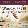 Mrs. MEYER'S Clean Day Fall Leaves Scent Dish Soap (2) view 4