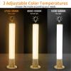 Light Therapy Lamp 10000 Lux, Happy Sun Lamp UV-Free with 3 Color Temperatures, Adjustable Brightness, Timer & Memory Function, Bright Sunlight Lamps, Full Spectrum Light Perfect for Home, Office view 2