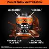 Body Fortress 100% Whey, Premium Protein Powder, Chocolate, 1.78lbs view 2