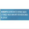 Nice Roasted Whole Cashews Sea Salt 16 oz (pack of 2) view 4