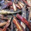 Jalapeno Jerky view 3
