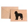 Nashville Decals Labradoodle Stationery Note Card Set view 1