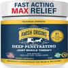 Amish Origins Pain Relief Ointment 1 oz Maximum Strength All Natural Discomfort Reliever for Joint, Muscle, Knee, Back, Neuropathy view 1