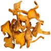 Forest Food Shop Dried Chanterelle Mushrooms 3 Ounce  Handpicked from Wild Forests, Air-Dried Mushrooms, Sourced by a Small Family Business, Ideal for Cooking and Gourmet Recipes. view 3