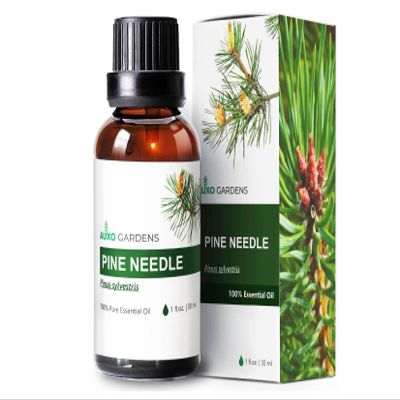 Auxo Gardens Pine Needle Essential Oil 1oz (30ml) -100% Natural and Pure, Premium Quality Therapeutic Grade Essential Oil for Aromatherapy-Crisp, Refreshing and Uplifting
