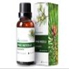 Auxo Gardens Pine Needle Essential Oil 1oz (30ml) -100% Natural and Pure, Premium Quality Therapeutic Grade Essential Oil for Aromatherapy-Crisp, Refreshing and Uplifting view 1