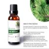 Auxo Gardens Pine Needle Essential Oil 1oz (30ml) -100% Natural and Pure, Premium Quality Therapeutic Grade Essential Oil for Aromatherapy-Crisp, Refreshing and Uplifting view 2