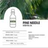 Auxo Gardens Pine Needle Essential Oil 1oz (30ml) -100% Natural and Pure, Premium Quality Therapeutic Grade Essential Oil for Aromatherapy-Crisp, Refreshing and Uplifting view 3