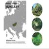 Auxo Gardens Pine Needle Essential Oil 1oz (30ml) -100% Natural and Pure, Premium Quality Therapeutic Grade Essential Oil for Aromatherapy-Crisp, Refreshing and Uplifting view 4