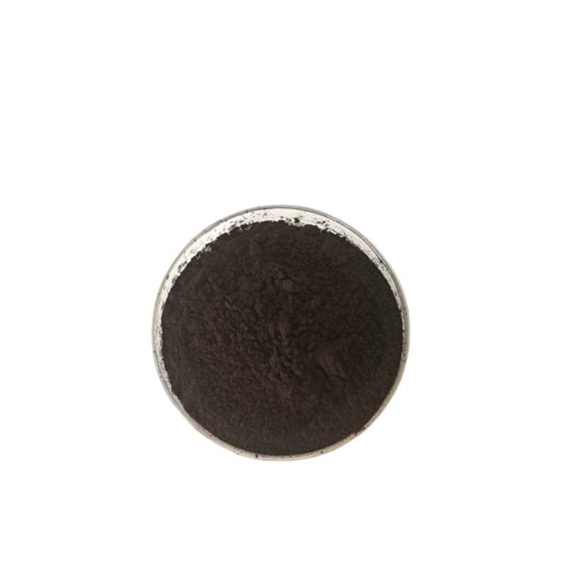 UNADULTERATED Wild Mountain POLYRACHIS ANT/Polyrhachis vicina Roger Double Extract Powder, 3.5 Oz.