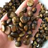 100g 3 Size Natural Yellow Tiger Eye Stone Crystal Polished Gravel Specimen Quartz Crystals Natural Stones,100g 12-15mm view 2