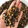 100g 3 Size Natural Yellow Tiger Eye Stone Crystal Polished Gravel Specimen Quartz Crystals Natural Stones,100g 12-15mm view 3