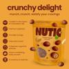 Nutic Milk Chocolate Covered Peanuts - 1 Lb. Double Dipped Premium Gourmet Milk Chocolate Peanuts Perfect for Snacks & Gifts, Made in USA - (Pack of 1) view 3
