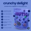 Nutic Milk Chocolate Covered Blueberries - 1Lb, Premium Gourmet Chocolate Candy Delight with Dried Blueberry, Perfect for Holiday Gifts & Food Baskets, Made in USA - (Pack of 1) view 3