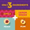 Fruit Snacks by Zest Delites, Dried Fruit Leather Bars, Healthy Snacks for Adults & Kids, Gluten Free Apple-Based Strips, Vegan, Peach, Plum, 0.88 oz x 10 view 4