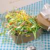 PAPER FAIR 1 LB Iridescent Easter Grass Crinkle Cut Paper, Green Yellow Purple Blush Paper Shred Filler Mix Strand Raffia Tissue Craft Bedding Cushion, Party Birthday Gift Box Basket Retail view 4