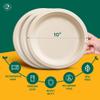 ECO SOUL 10 Inch Compostable Disposable Paper Plates [400 Pack] Food Safe 100% Virgin Bagasse Pulp Heavy Duty Biodegradable Microwave Safe Large Round Dinner Plate for Party, Picnic & BBQ (Brown) view 2